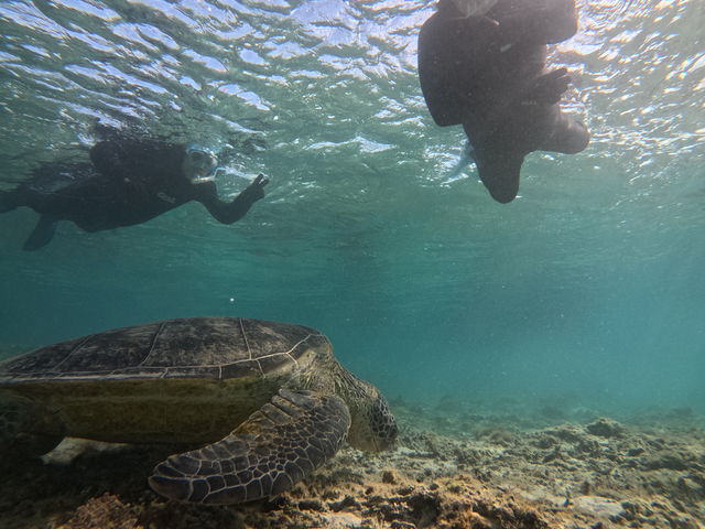 �Y��ɎB���Ă���Ă܂��I_OCEANZ - �I�[�V�����Y