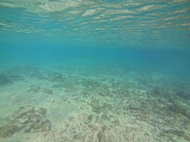 �߂�����C���Y��ł����I_OCEANZ - �I�[�V�����Y