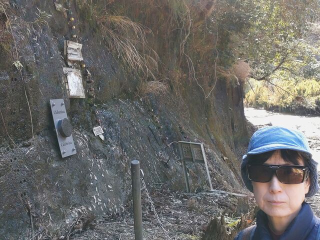 ǖʂɂ͍ےnA^ꂽgS[fXpCNhAւ炵ɐݒuĂ_`ojAint]nwj