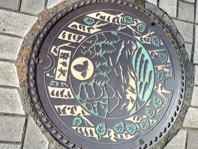 �y���_�y���