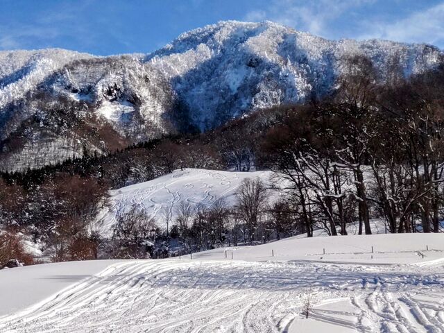 V͎育킢B_Xm[rXN[(OnEXOSV)