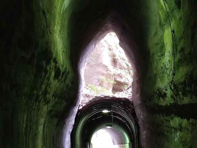 �g���R�E���h�g���l���h�͎ʐ^���B��ƗΐF�ɕǖʂ������Ă���悤�Ɏʂ�_�{�V�k�J