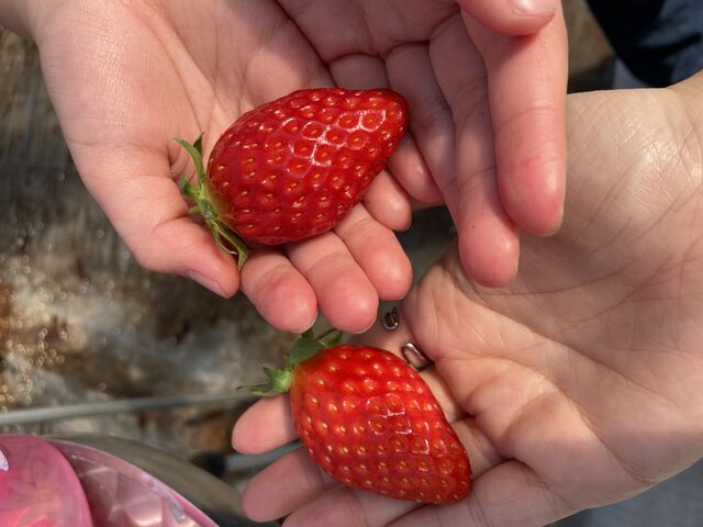 �嗱�Ő^���ԂȂ�����_�������̉���