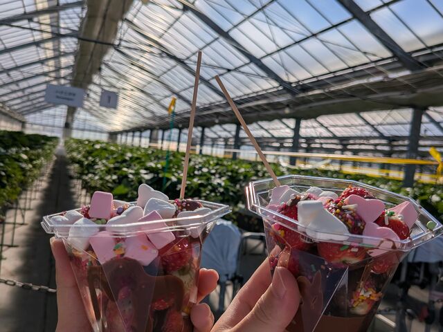 �������������`�I_MIGAKI FARM(��ICHIGO WORLD)