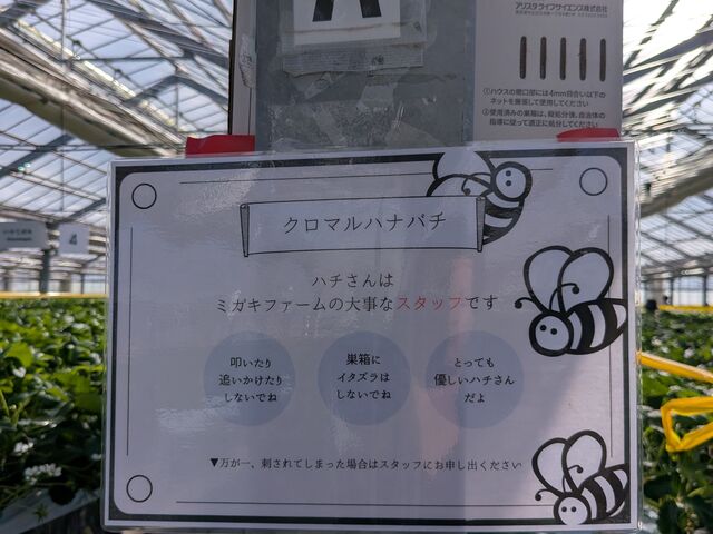 �n�`����͑厖�ȃX�^�b�t�ł��I_MIGAKI FARM(��ICHIGO WORLD)