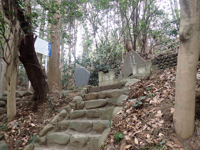 ���I������̕�