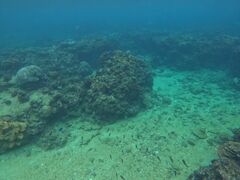 Ђ낳ONE MILEւ̓eʐ^1