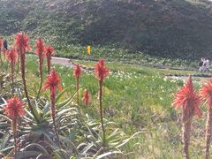 shootty̒ܖ؍ւ̓eʐ^1