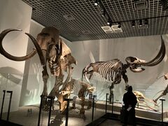 �݂ۂ�����̍����Ȋw�����قւ̓��e�ʐ^2