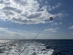 sunny̋{ÓpZ[O all good marine 385ւ̓eʐ^1