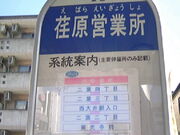 Tv̓scnS󑐐w̓eʐ^4