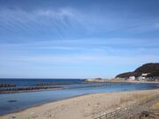 TNTN̋̋򂢏܂c̓eʐ^5