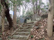 }Cann̏I̓̕eʐ^1