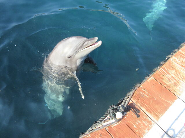 񂳂ܑ݂̂̌p[N ݃CJ̓eʐ^5