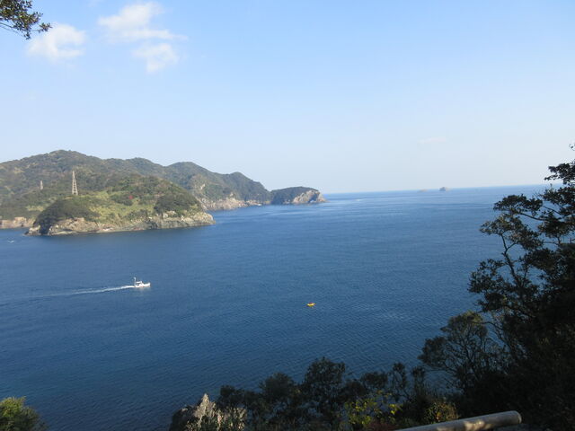 ������񂳂�̌��̊ԊC���̓��e�ʐ^1