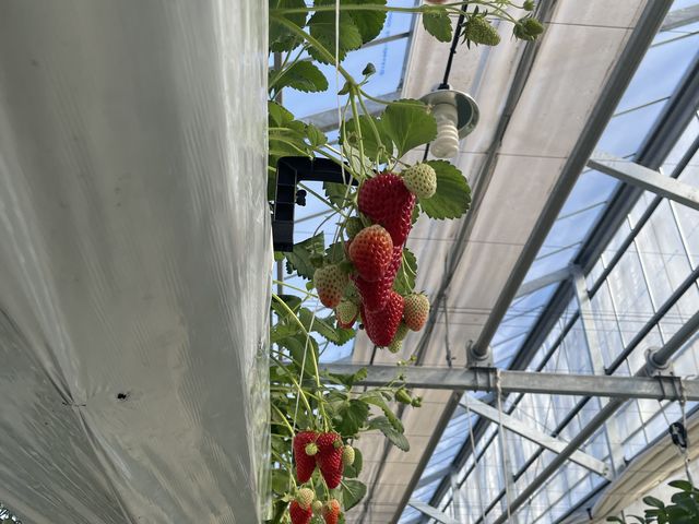 �����ɂ��邢����_�t�@�[������� �É͓X