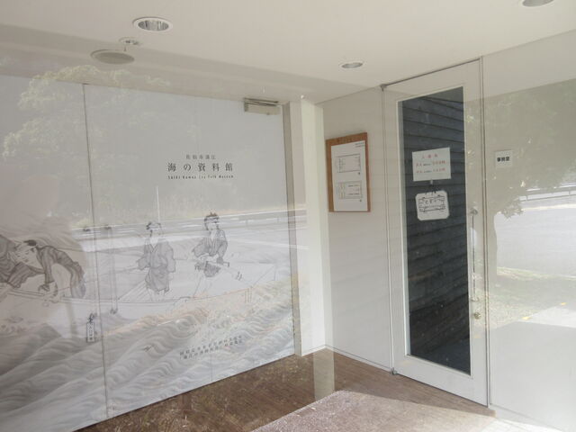 ������񂳂�̊C�̎����ق̓��e�ʐ^3