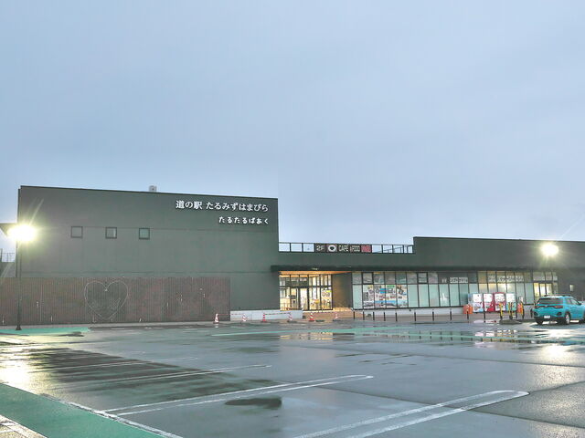 sklfh̓̉w݂͂܂тi邽ςj̓eʐ^1