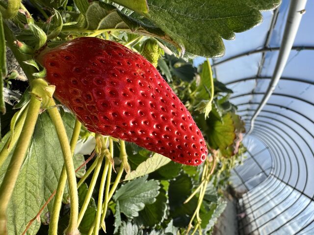 �傫���͑召�l�X�ł����B_������net�@���������p�[�N��������cafe�v�\��