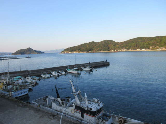 啪suCN̏hE܂YvC̒΁iqBej_CN̏h@܂Y