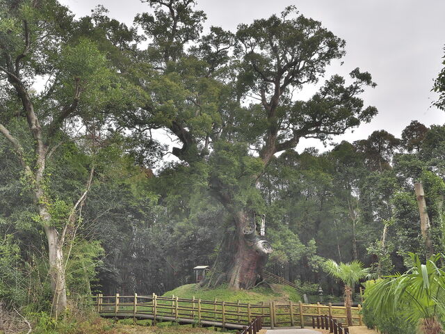 sklfh̒ˍ̑NX̓eʐ^1