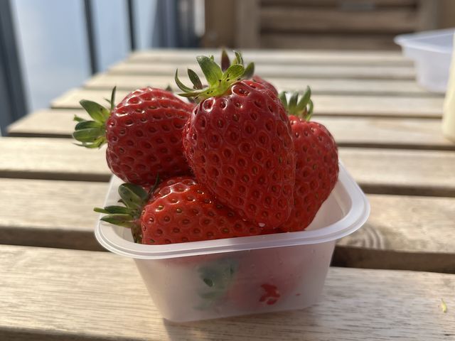 �傫���Ă������������ł��I_�Γ������ܔ_��