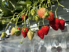 š(䂢)t@[ւ̓eʐ^1