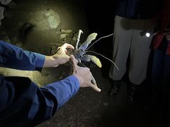 񂳂̐Ί_ ADVENTURE PiPiւ̓eʐ^2