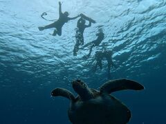 ݂SHISHIΊ_ւ̓eʐ^1