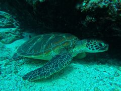 Ȃ̐Ί_ ADVENTURE PiPiւ̓eʐ^1