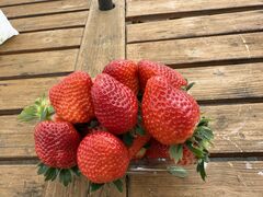 �Ђ낭�񂳂�̂���ƌ������I�Ƃ��Ă����̃C�`�S���H�ւ̓��e�ʐ^1