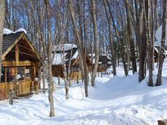 yosshỹVbsO[hujOeXvւ̓eʐ^2