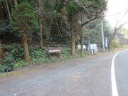 ������񂳂�̋�̒n�����̓��e�ʐ^2