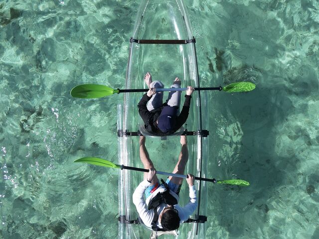 �h���[���Ȃ�ł͂̐^�ォ��_N.Ocean