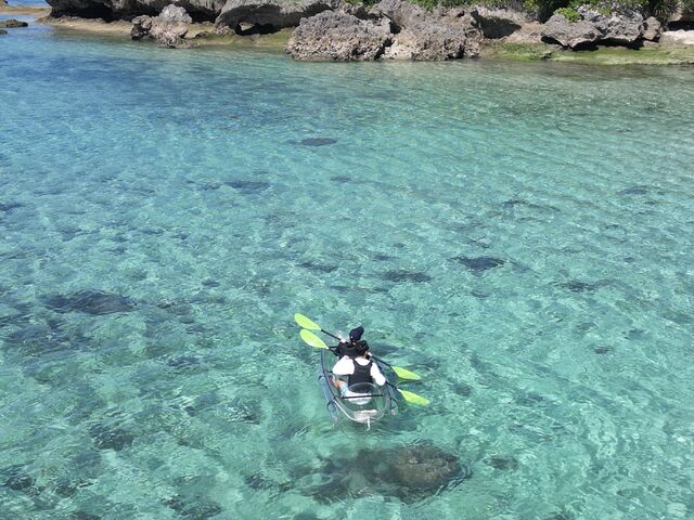 �������͖`���������������ł��I_N.Ocean