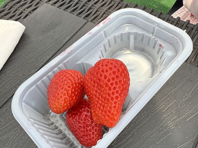 ���������I�I_�������̂�������