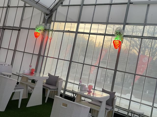 �x�e�X�y�[�X_FUNDAYFARM