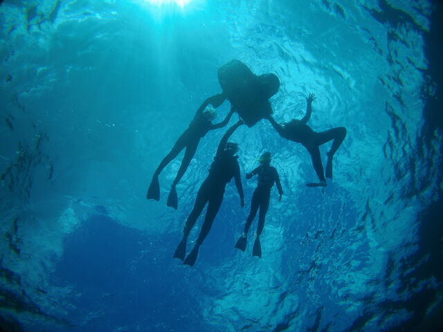 X^bt񂪐ȂBĂꂽʐ^_}X^WI