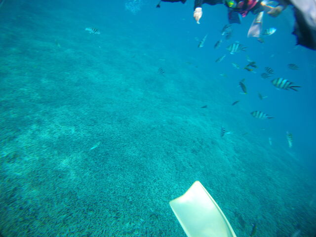 ԋ߂jɂ݂ȑ勻I_}X^WI