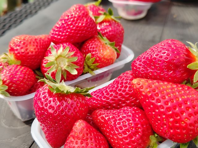 �x�e���ŃC�`�S�^�C��_�������̂�������