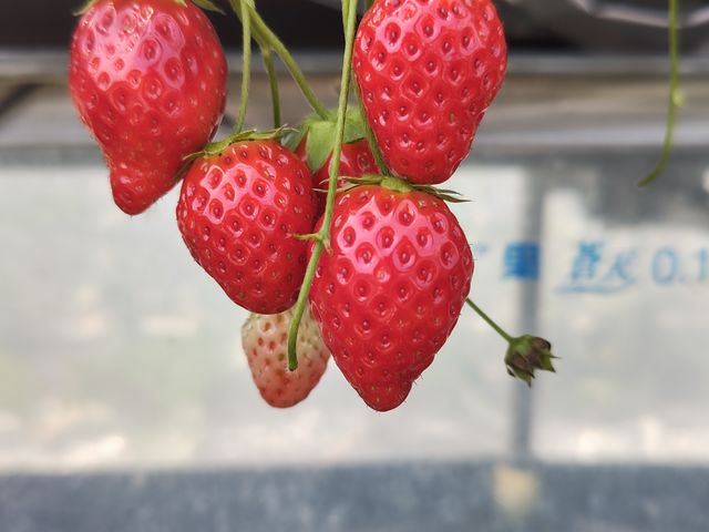 ��Ȃ�_�������̂�������