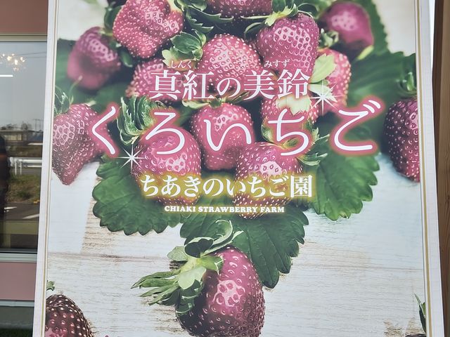 ��������_�������̂�������