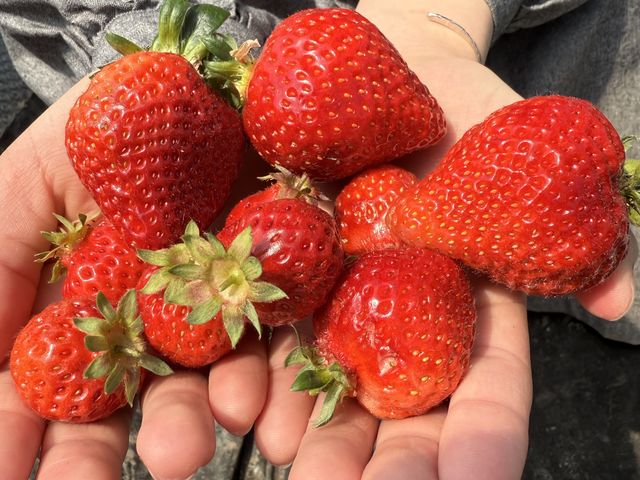 �Ƃ��Ă��������������ł��I_�z���C�g�x���[