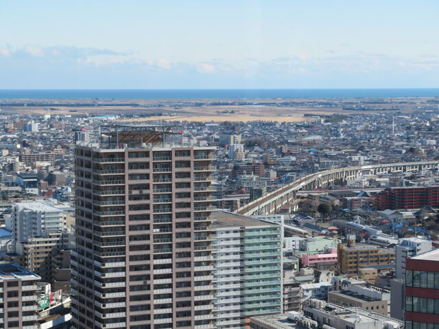 SS30 �W�]�t���A����̓W�]_SS30 �W�]�t���A