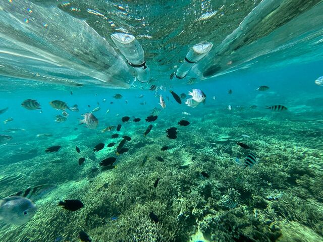 X^bt񂪎BĂꂽ̎ʐ^_}X^WI