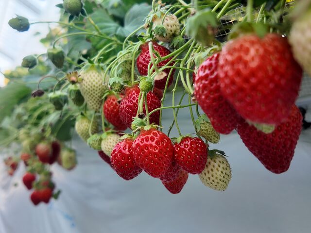 ����������������_�R���������_��