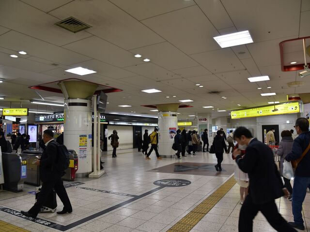 s͕ɍŝŁAʋ΁Eʊw̕ōGĂ܂B_ߋE{SÉw