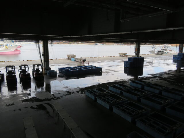 �C����s���s��
���w�f�b�L����_�C����s���s��