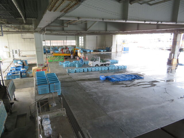 �C����s���s��
���w�f�b�L����_�C����s���s��