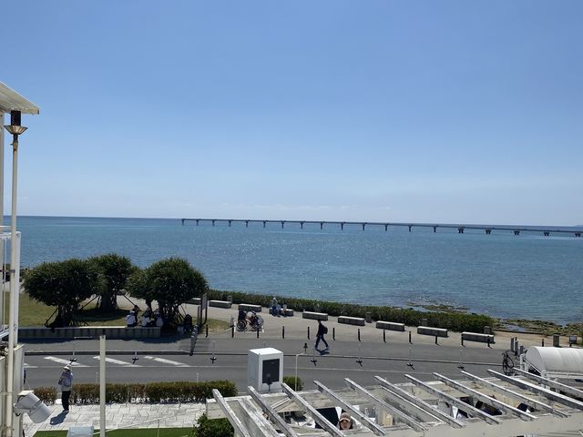 �E�~�J�W�e���X_�I�L�i�� ���W���A�[�g